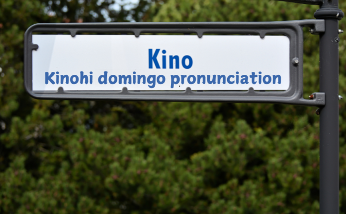 ka wae'ana mamua a'e kinohi domingo pronunciation